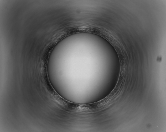 X0000099540270200806061501