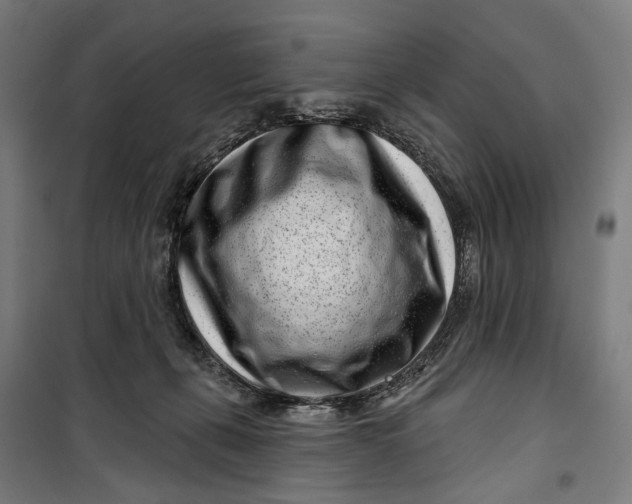 X0000099540271200806061501