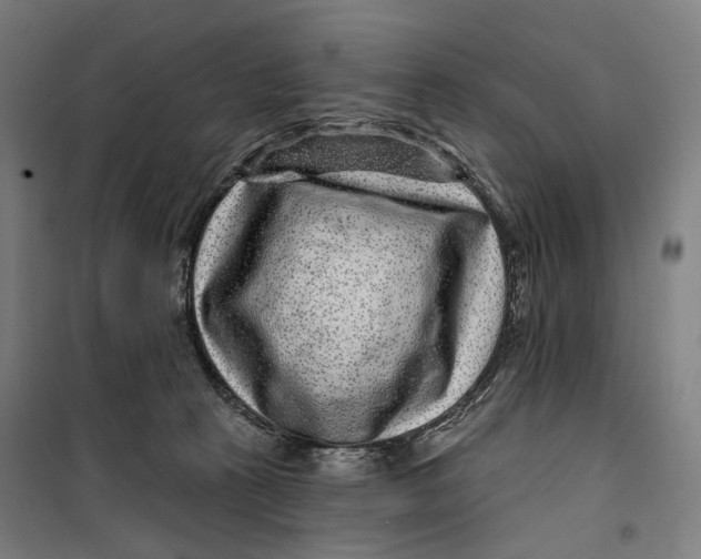 X0000099540273200806061501