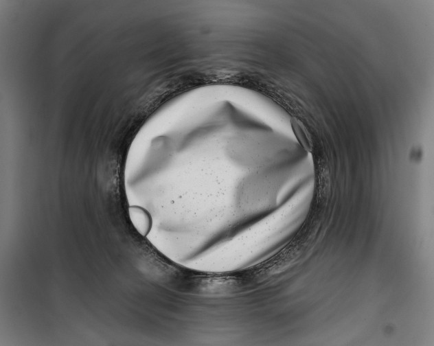 X0000099540274200806061501