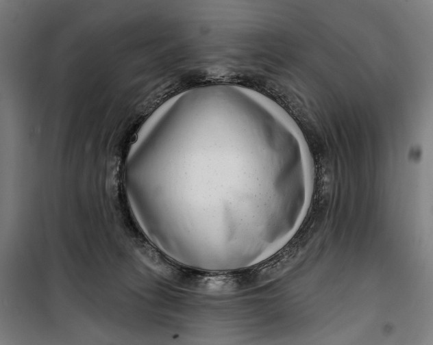 X0000099540275200806061501