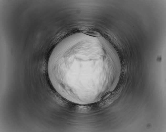 X0000099540277200806061501