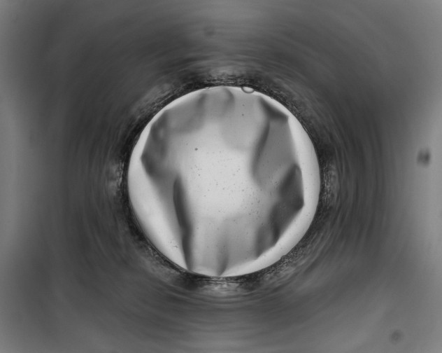 X0000099540278200806061501