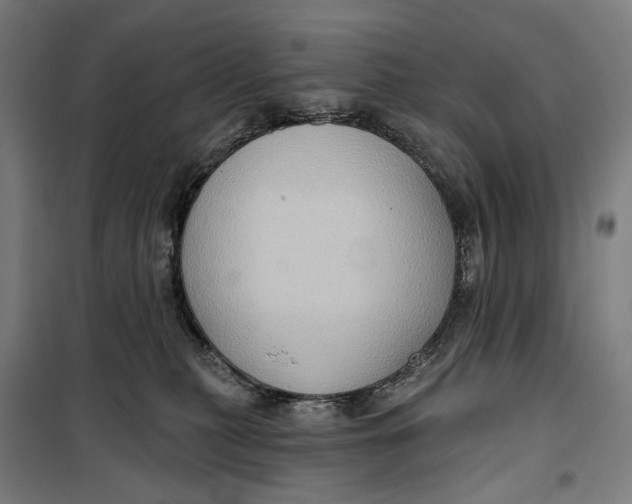 X0000099540279200806061501