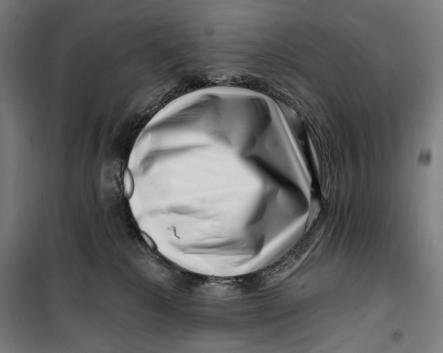 X0000099540280200806061501