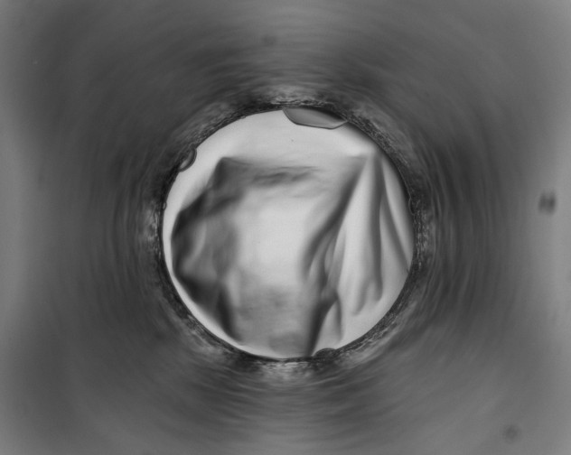 X0000099540281200806061501