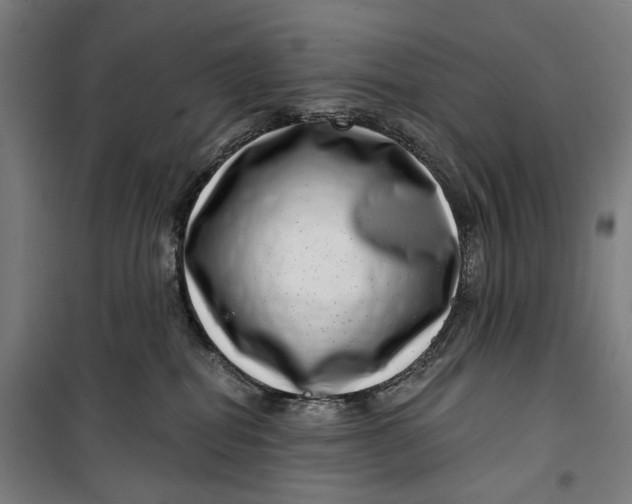 X0000099540282200806061501