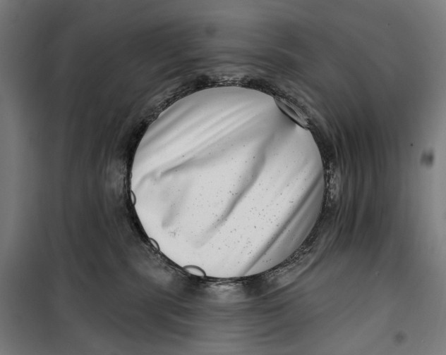 X0000099540283200806061501