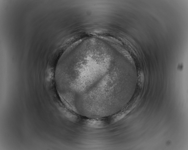 X0000099540284200806061501