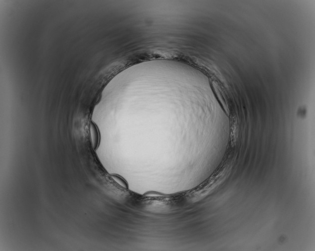 X0000099540285200806061501