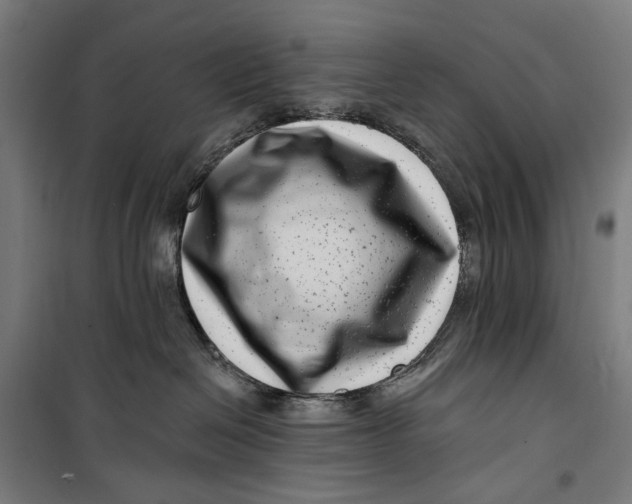 X0000099540286200806061501