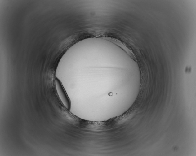 X0000099540288200806061501