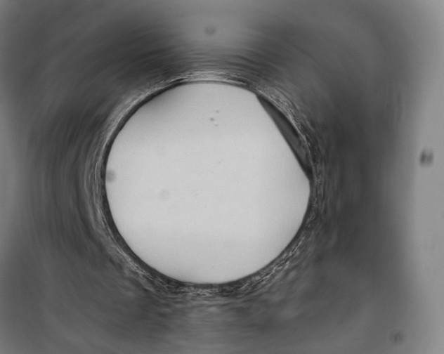 X0000099540289200806061501