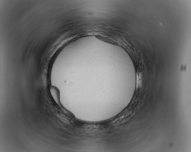 X0000099540291200806061501