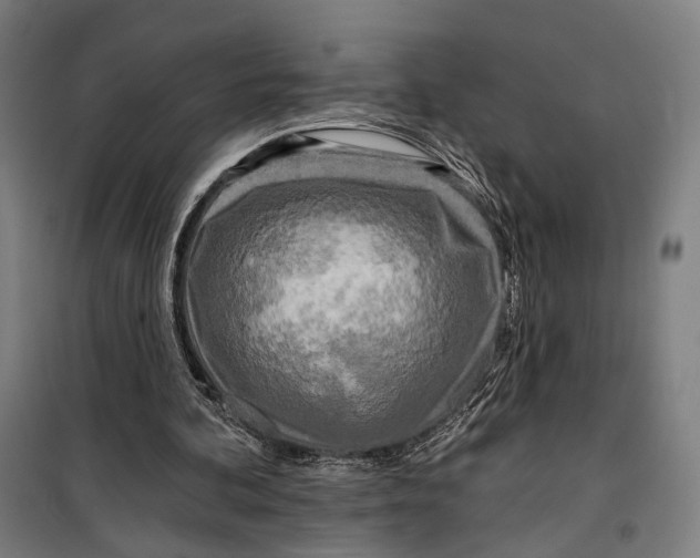 X0000099540292200806061501