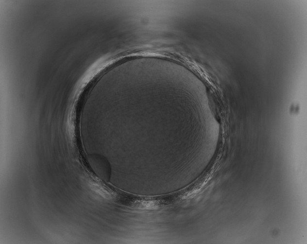 X0000099540295200806061500