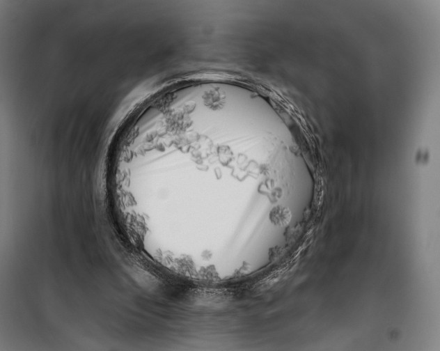 X0000099540296200806061500