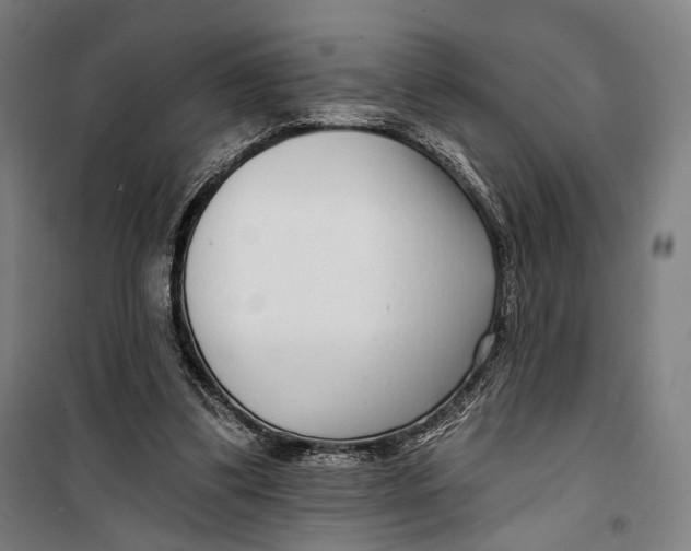 X0000099540299200806061500