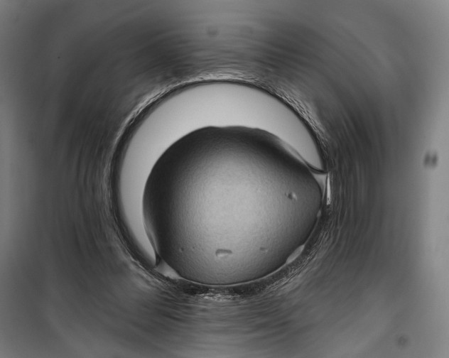 X0000099540300200806061500