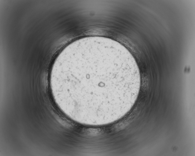 X0000099540302200806061500