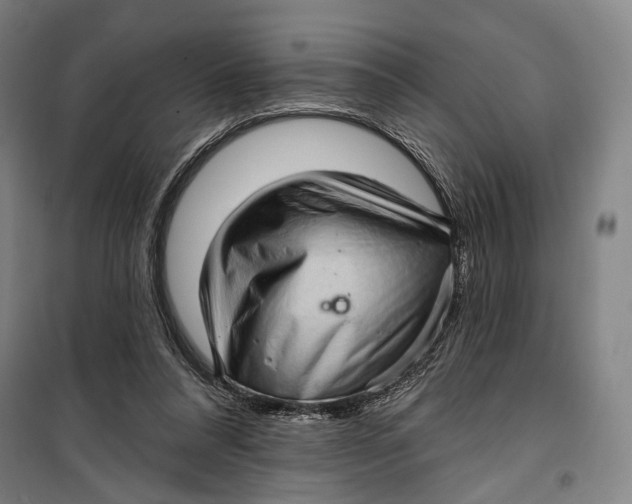 X0000099540304200806061500