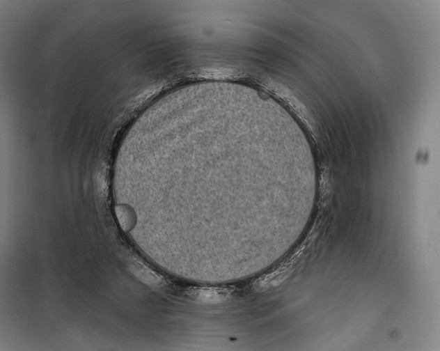 X0000099540305200806061500