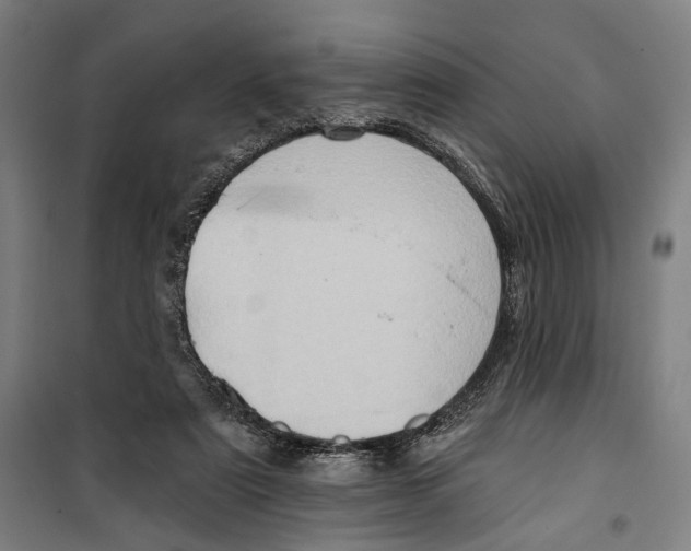 X0000099540307200806061500