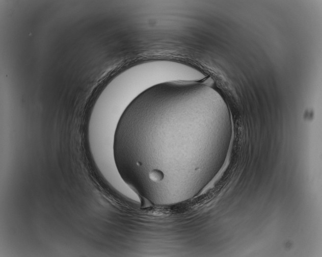 X0000099540308200806061500