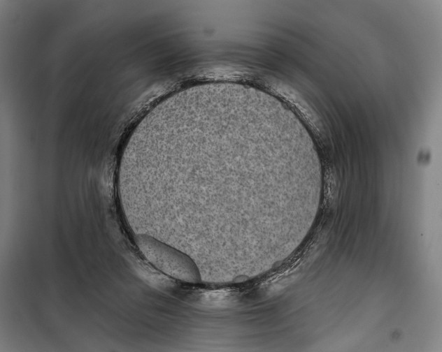 X0000099540309200806061500