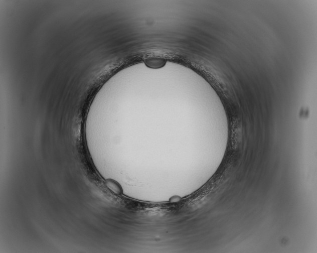 X0000099540310200806061500