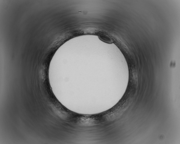 X0000099540311200806061500