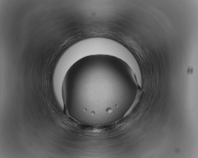 X0000099540312200806061500