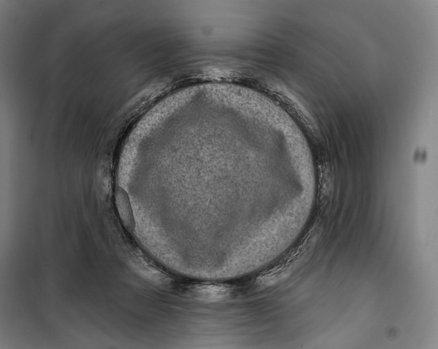 X0000099540313200806061500