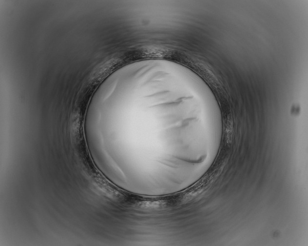 X0000099540314200806061500