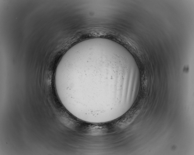 X0000099540315200806061500