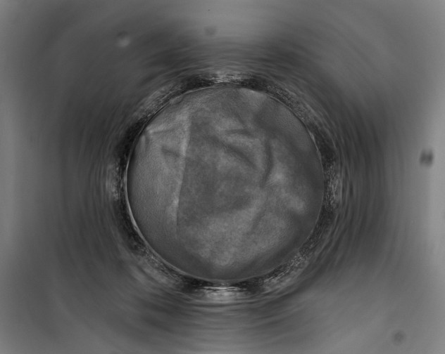 X0000099540316200806061500