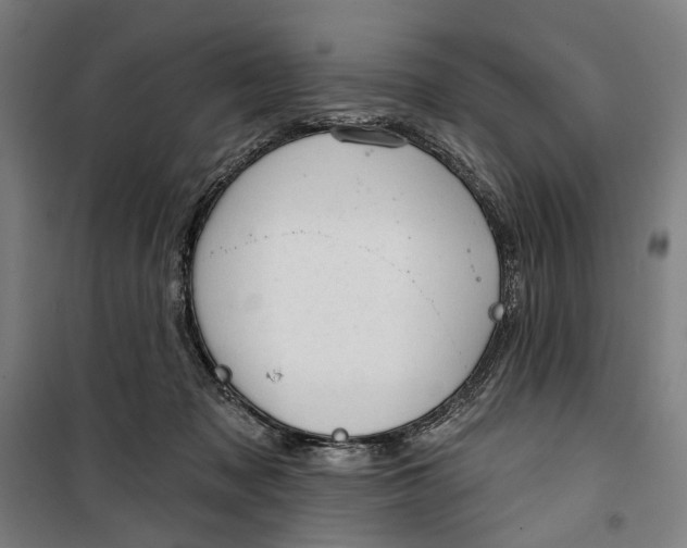 X0000099540317200806061500