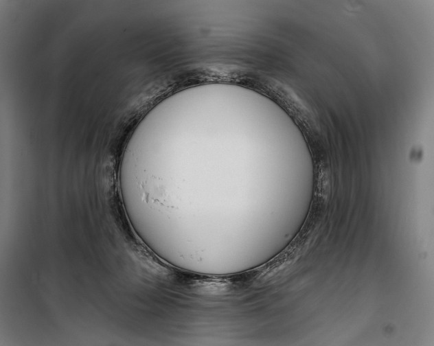 X0000099540318200806061500