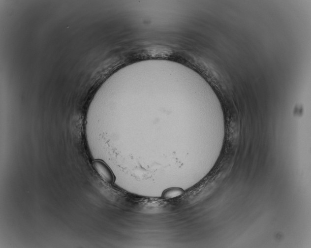 X0000099540321200806061500