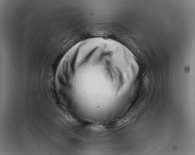 X0000099540322200806061500