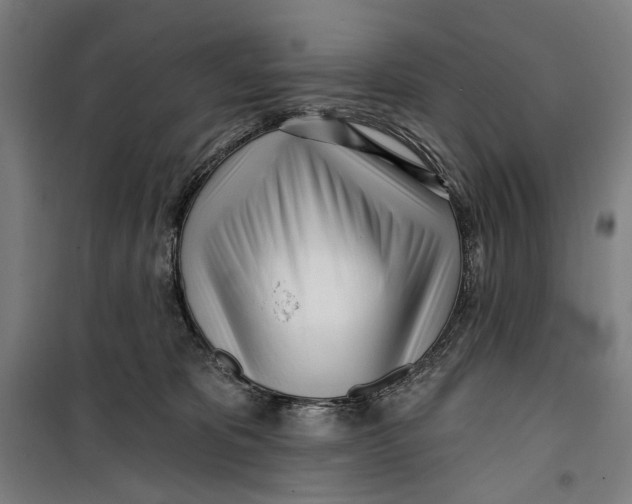 X0000099540325200806061500