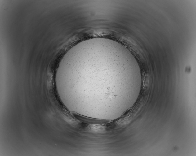 X0000099540327200806061500