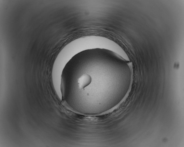 X0000099540328200806061500