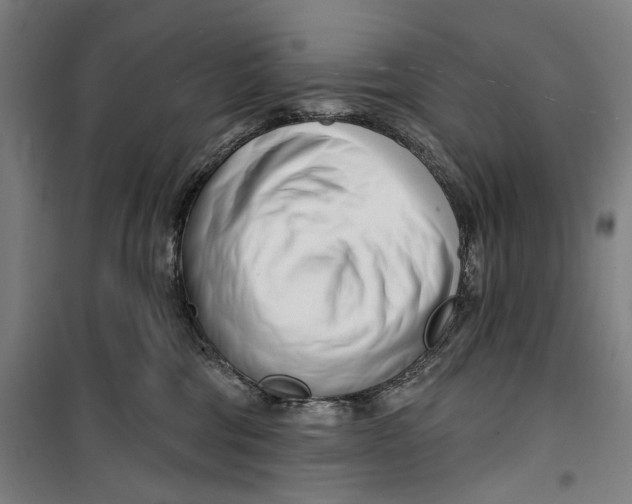 X0000099540330200806061500