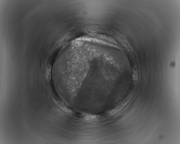 X0000099540332200806061500