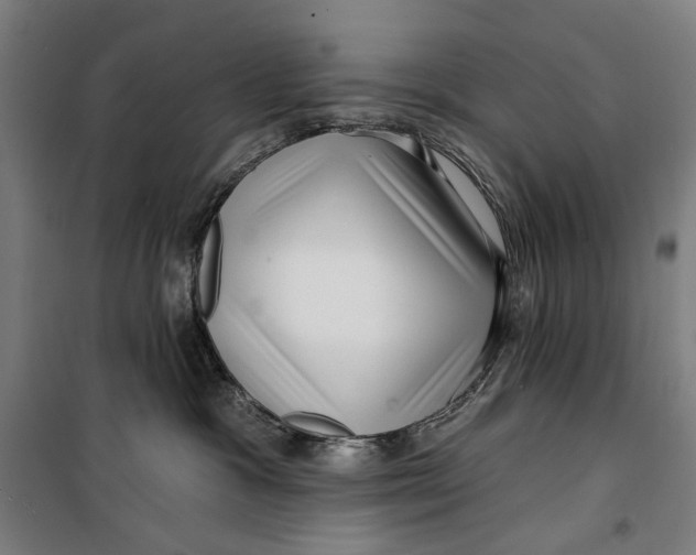 X0000099540333200806061500