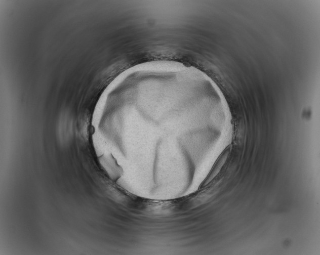 X0000099540334200806061500