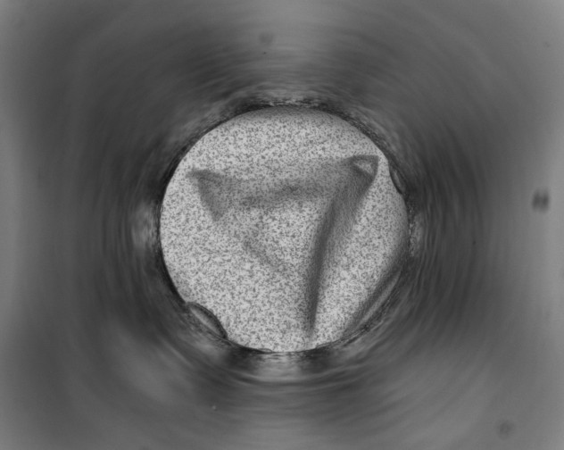 X0000099540335200806061500