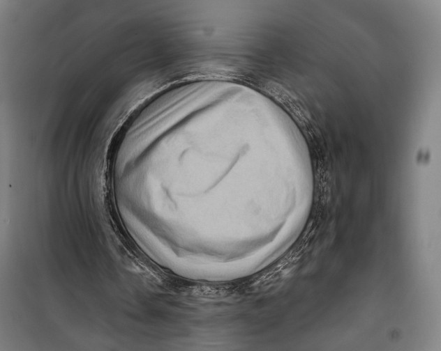 X0000099540338200806061459