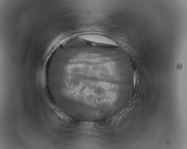 X0000099540339200806061459